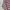 Japanese brand Casual Formal shirt Pria multicolor photo 5