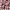 Japanese brand Casual Formal shirt Pria multicolor photo 4