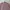Japanese brand Casual Formal shirt Pria multicolor photo 2