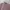 Japanese Brand Casual Formal Shirt Pria Multicolor