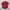 Polo Ralph Lauren Casual Formal Shirt Pria Red