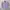 Polo Ralph Lauren Casual Formal Shirt Pria Multicolor