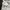 Carhartt Casual Hat Pria navy photo 4