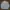 Carhartt Casual Denim jacket Pria tan photo 2