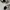 Nike Casual Sneakers Pria multicolor photo 3