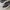 Nike Casual Sneakers Pria white black photo 2