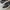 Nike Casual Sneakers Pria White Black