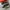 Nike Casual Sneakers Pria white black photo 1