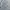Minimalist Formal shirt Pria gray photo 3