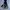 Vintage Sportswear Hoody Kids navy blue photo 8