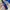 Vintage Sportswear Hoody Kids navy blue photo 4