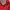 Mizuno Streetwear Sportswear Jersey Pria red black photo 3