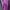 Casual Cami top Wanita purple photo 1
