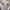 Balenciaga Y2K Luxury Formal shirt Pria white photo 7