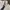 Balenciaga Y2K Luxury Formal shirt Pria white photo 2