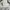 Balenciaga Y2K Luxury Formal shirt Pria white photo 6