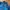 Adidas Sportswear Casual Track jacket Pria blue photo 3