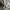 Converse Streetwear Sneakers Wanita white black photo 3