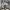 Converse Streetwear Sneakers Wanita white black photo 1