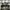 Adidas Streetwear Sportswear Sneakers Pria multicolor photo 2