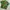 Sun Surf Biker Casual Casual shirt Pria multicolor photo 2