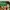 Sun Surf Biker Casual Casual shirt Pria multicolor photo 3