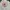 Japanese brand Vintage Y2K Tote bag Wanita white photo 3