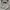Executive Luxury Formal shirt Pria gray photo 2