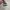 Adidas Casual Casual shoe Pria white black photo 4