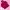 The North Face Gorpcore Windbreaker Wanita pink photo 1