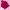 The North Face Gorpcore Windbreaker Wanita Pink