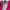 The North Face Gorpcore Windbreaker Wanita pink photo 5