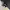 Nike Casual Casual shoe Pria white black photo 1