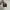 Nike Casual Casual shoe Pria white black photo 4