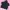Champion Sportswear Hoody Wanita black photo 1