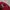 JanSport Vintage Bag Pria red photo 2