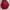 JanSport Vintage Bag Pria red photo 3