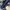 Arc'teryx Sportswear Casual Sneakers Pria black photo 6