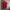 Polo Ralph Lauren Casual Polo shirt Pria red photo 1