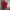 Polo Ralph Lauren Casual Polo Shirt Pria Red