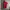 Polo Ralph Lauren Casual Polo Shirt Pria Red