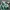 Luxury Fairy Jumpsuit Wanita white green photo 4