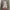 Topshop Cottagecore Coquette Midi Dress Wanita Red Pink