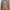 Luxury Coquette Summer dress Wanita gold tan photo 6