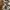 Luxury Coquette Summer dress Wanita gold tan photo 5