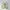 Adidas Sportswear Minimalist Sneakers Pria multicolor photo 4