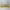 Adidas Sportswear Minimalist Sneakers Pria multicolor photo 6