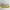 Adidas Sportswear Minimalist Sneakers Pria multicolor photo 3
