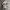 Y2K T-shirt Pria cream photo 1