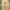 Y2K Casual Pria cream photo 3
